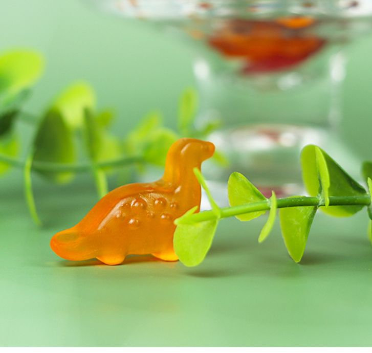 CW Jurassic Dinosaur Gummies 80g/청우 쥬라기 공룡 젤리 80g