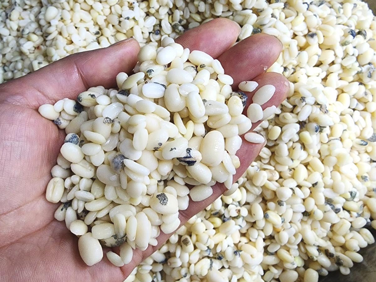 [KONG]Hulled Red Bean Mugwort Rice Cake 200g 콩사랑 거피팥고물쑥인절미 200g