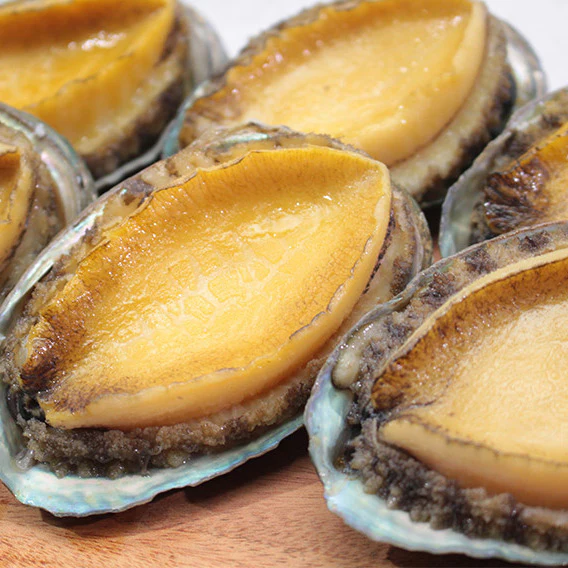 [Suhyup] 100% Korean Premium Abalone in Shell (3pcs) Fully Cleaned & Steamed (Ready-to-Eat)
