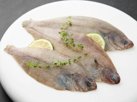 [Hanolle] Frozen Jeju Flatfish 400g / 한올레 냉동 제주 참가자미 400g(3마리)