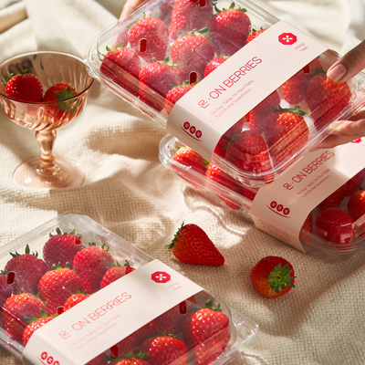 Premium On_berries Honghee Strawberry 380g x 4case / 프리미엄 온베리 홍희딸기 380g x 4팩