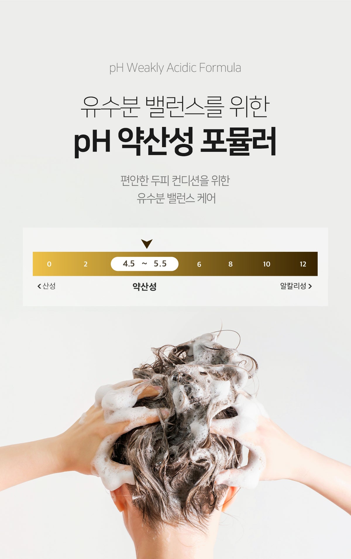 [Sallim Baekseo]OBJET Black Grain Anti-Hair Loss Scalp Care Shampoo 1000ml 살림백서 흑곡 지성 두피케어 약산성 탈모증상완화 샴푸 1000ml
