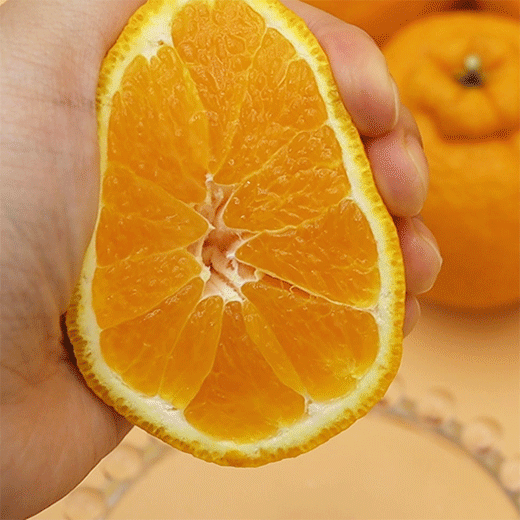 [New Year Gift Set]Red Hyang & Hallabong Mixed Gift Set 레드향&한라봉 혼합 선물세트 2kg/3kg/5kg