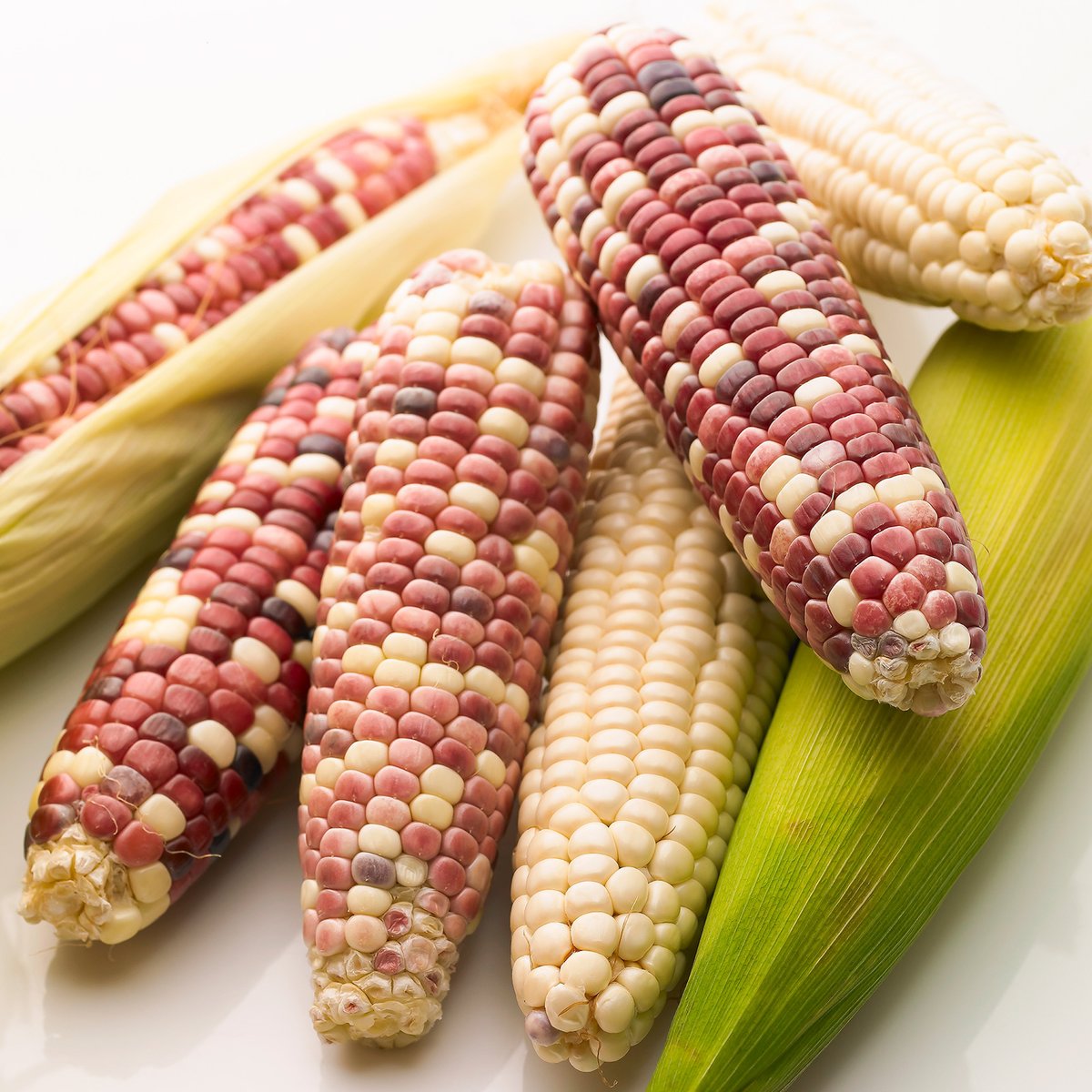 Colourful Boiled corn 2p 알록달록 찰 옥수수 360g (2개입)