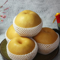 [Chuseok] Premium Singo Pear Gift Set 5kg (6–8 Pears) 신고배 명품 선물세트 5kg(6~8과)