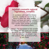 [Jejuindi] Camellia Blossom Sun Cream 50ml / 카멜리아 블러썸 선 크림