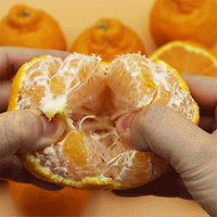 [New Year Gift Set]Red Hyang & Hallabong Mixed Gift Set 레드향&한라봉 혼합 선물세트 2kg/3kg/5kg