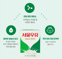 Seoul Milk Sterilized Seoul Milk 200ml x 24 packs  /서울 우유 200ml x 24 팩