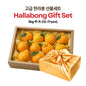 [New Year Gift Set] Hallabong Gift Box 한라봉 선물세트 2kg/3kg/5kg