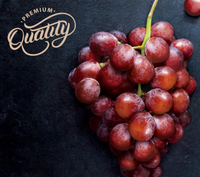 [CJW] Premium Grapeseed Oil 500ml/청정원 100% 스페인산 포도씨유 500ml