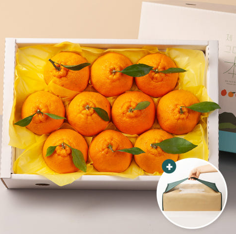 [New Year Gift Set] Hallabong 설 선물세트 한라봉 1.5kg/2kg/3kg