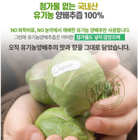 Greenae Organic Cabbage Juice 90ml x 30pack/그린애 유기농 양배추 추출액 즙 90mlx30포