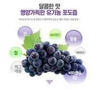 Greenae Organic Grape Juice 90ml x 30pack/그린애 유기농 포도추출액 즙 90mlx30포