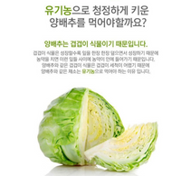 Greenae Organic Cabbage Juice 90ml x 30pack/그린애 유기농 양배추 추출액 즙 90mlx30포