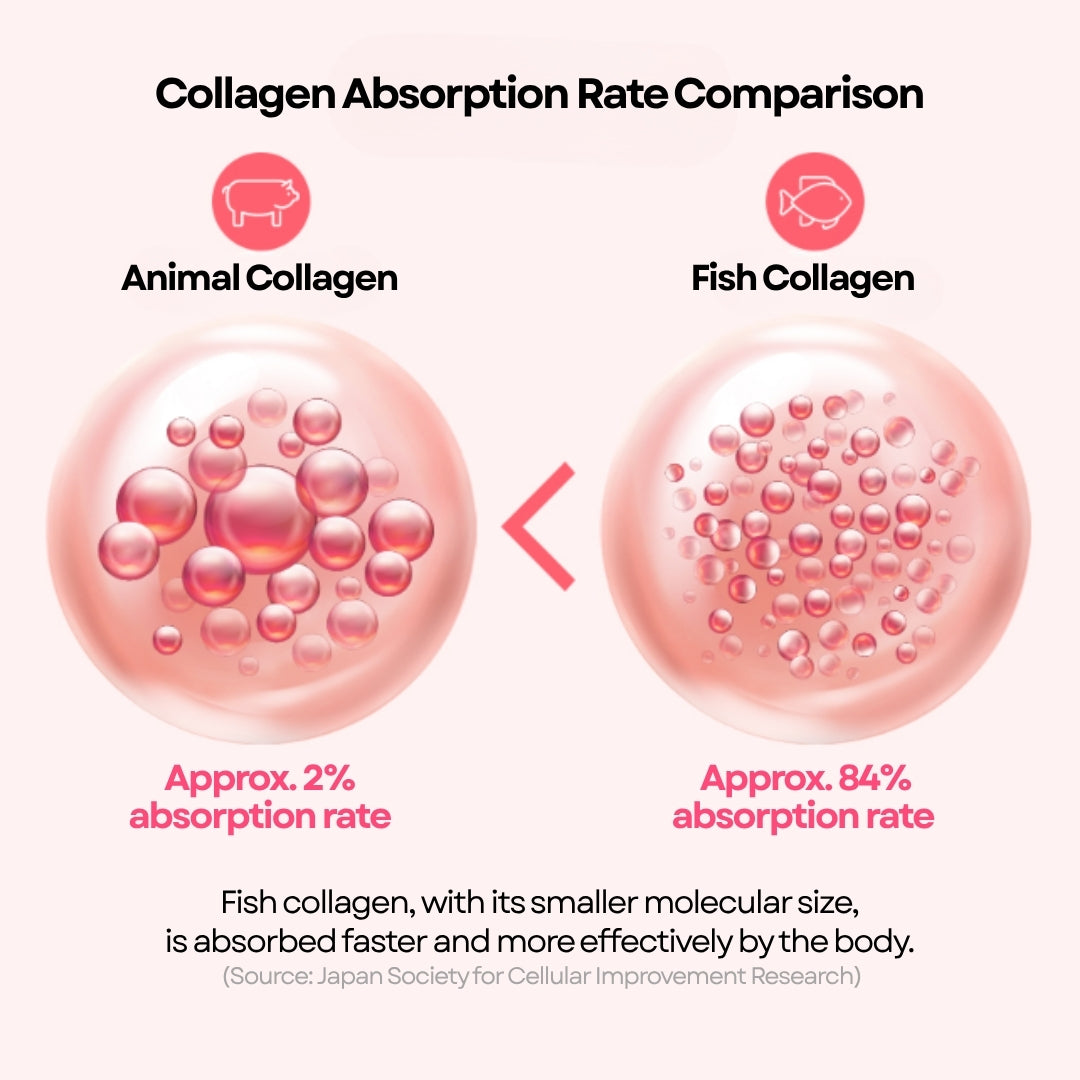 [CHUNHO N CARE] Pomegranate Collagen Jelly 1 Box (10ml * 30Sticks) / 천호엔케어 콜라겐 담은 석류젤리 1박스(30포)
