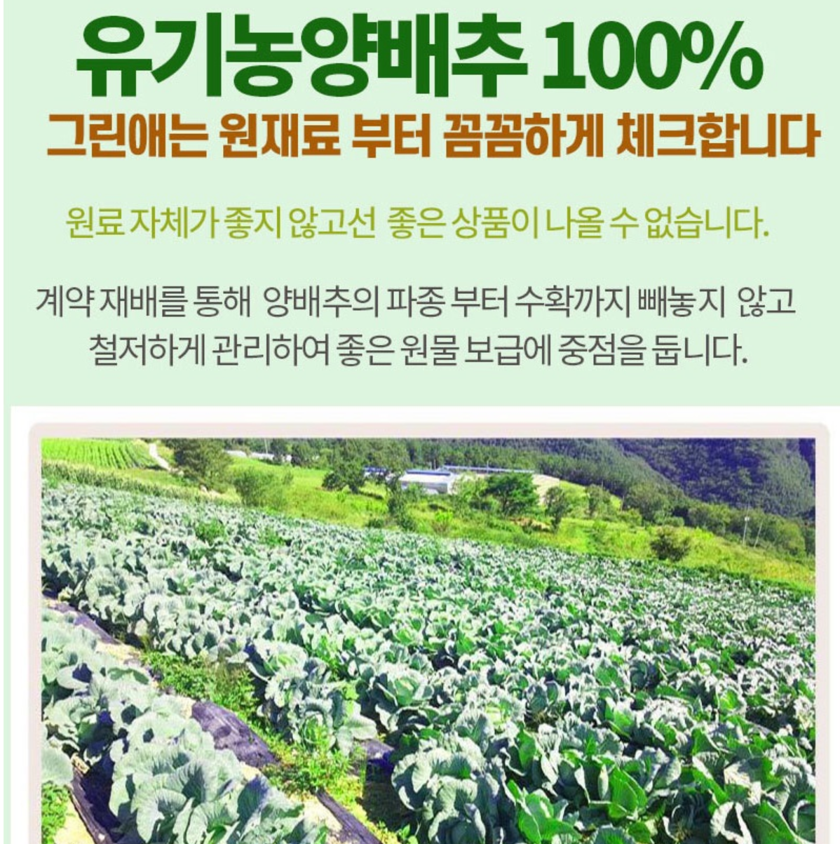 Greenae Organic Cabbage Juice 90ml x 30pack/그린애 유기농 양배추 추출액 즙 90mlx30포