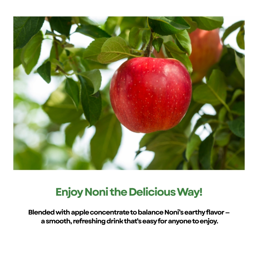 [CHUNHO N CARE] Noni Juice 1 Box (70ml*30pack) / 천호엔케어 하루활력 노니주스 1박스(30포)
