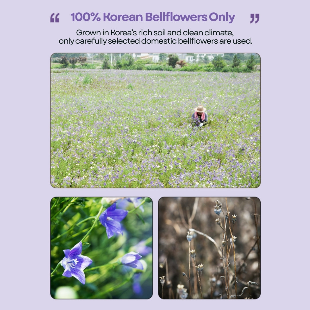 [CHUNHO N CARE] Balloon Flower & Pear Juice 1 Box (70ml*30pack) / 천호엔케어 하루활력 도라지배즙 1박스(30포)
