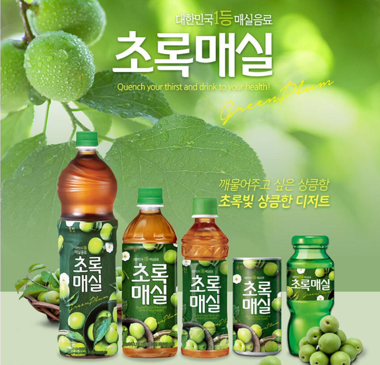 Woongjin Green Plum 500ml/웅진 초록매실 500ml