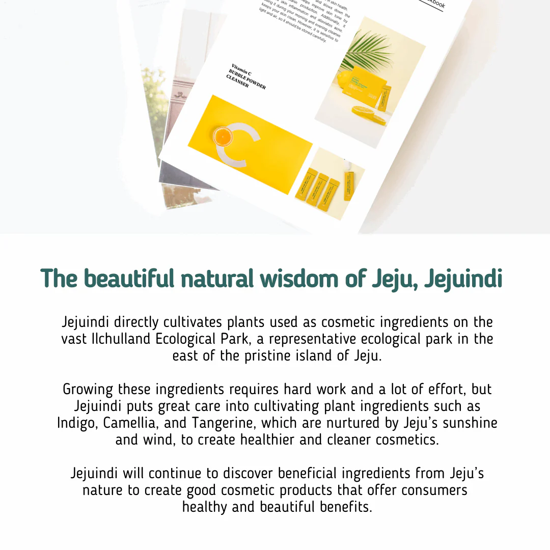 [Jejuindi] Vitamin C Bubble Powder Cleanser 30ea / 비타민C 버블 파우더 클렌저 30ea