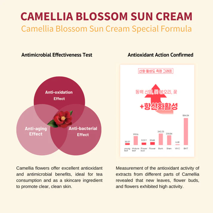 [Jejuindi] Camellia Blossom Sun Cream 50ml / 카멜리아 블러썸 선 크림