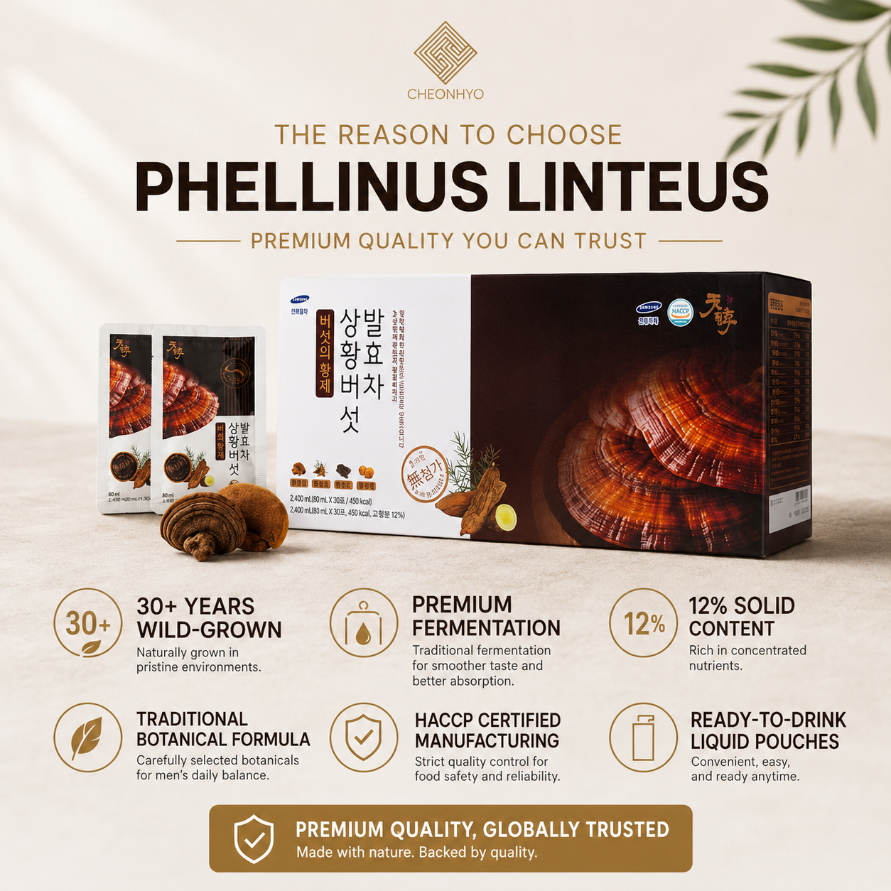 [CH] Premium Mushroom Wellness Drink 80ml*30 Pouches / 천효 상황버섯 발효차 80ml*30포