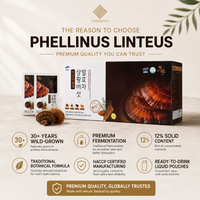 [CH] Premium Mushroom Wellness Drink 80ml*30 Pouches / 천효 상황버섯 발효차 80ml*30포