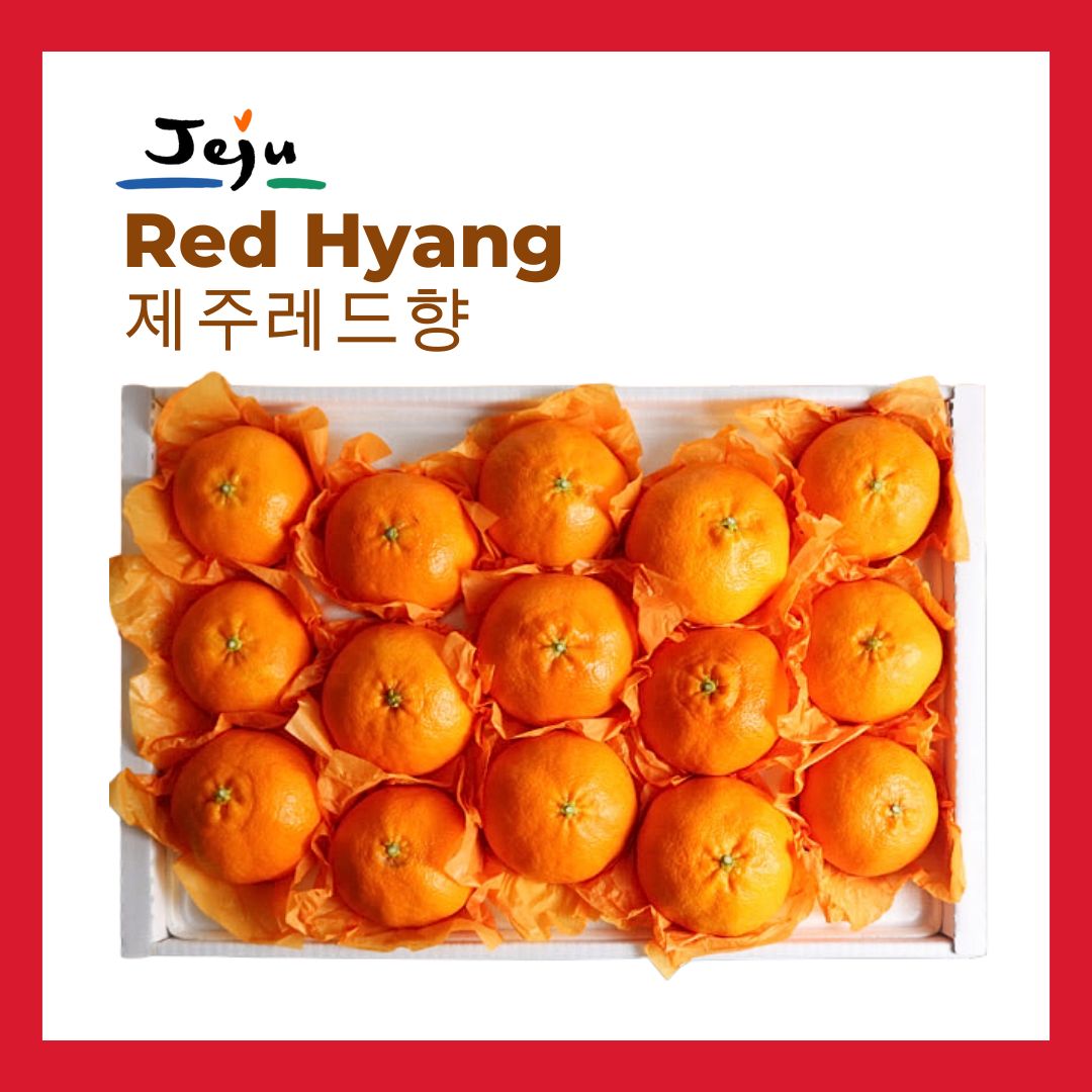 [New Year Gift Set] Korean Jeju Red Hyang Mandarin Orange Gift Box 2kg/3kg 설 선물세트 레드향