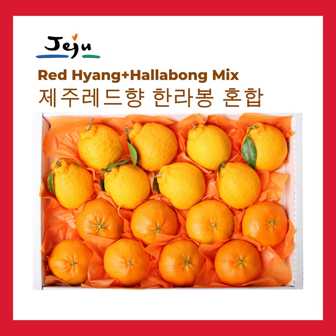 [New Year Gift Set] Jeju Red Hyang & Hallabong Mandarin OrangeMixed Gift Set 2kg/3kg 레드향&한라봉 혼합 선물세트 2kg/3kg