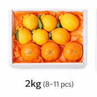 [New Year Gift Set]Red Hyang & Hallabong Mixed Gift Set 레드향&한라봉 혼합 선물세트 2kg/3kg/5kg