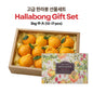 [New Year Gift Set] Hallabong Gift Box 한라봉 선물세트 2kg/3kg/5kg