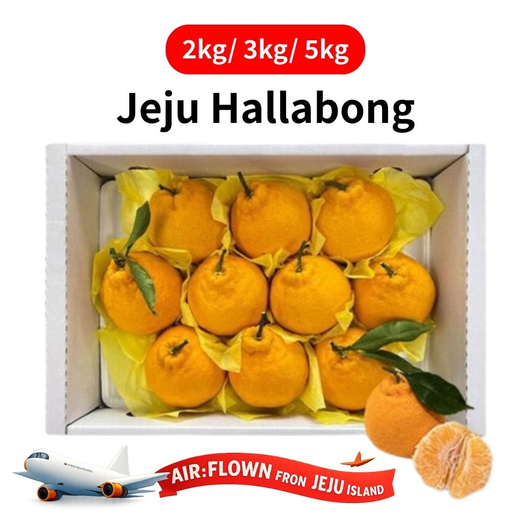 [New Year Gift Set] Korean Jeju Hallabong Mandarin Orange Gift Box 2kg/3kg/5kg 설 선물세트 한라봉
