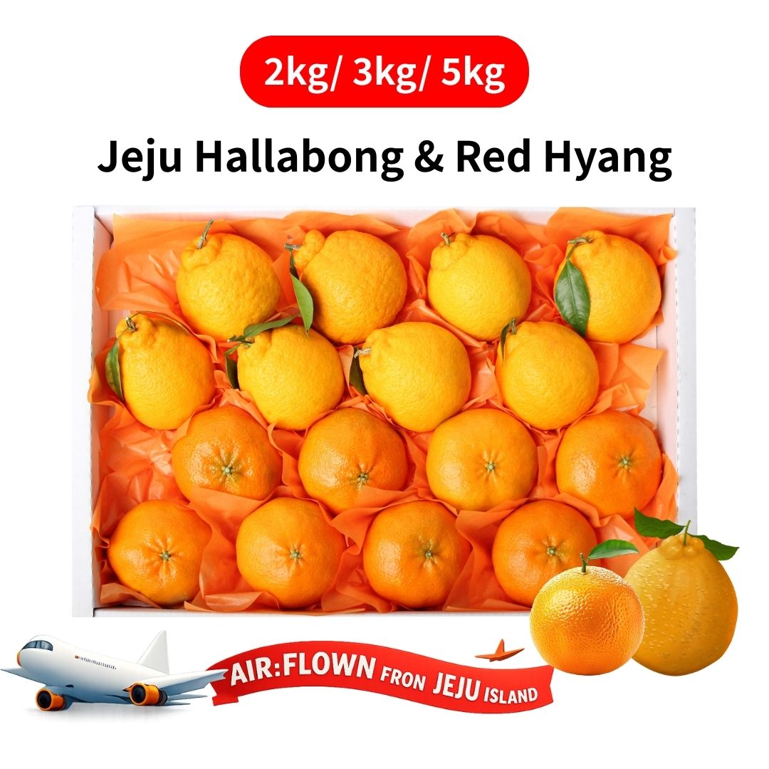 [New Year Gift Set] Jeju Red Hyang & Hallabong Mandarin OrangeMixed Gift Set 2kg/3kg/5kg 레드향&한라봉 혼합 선물세트 2kg/3kg/5kg