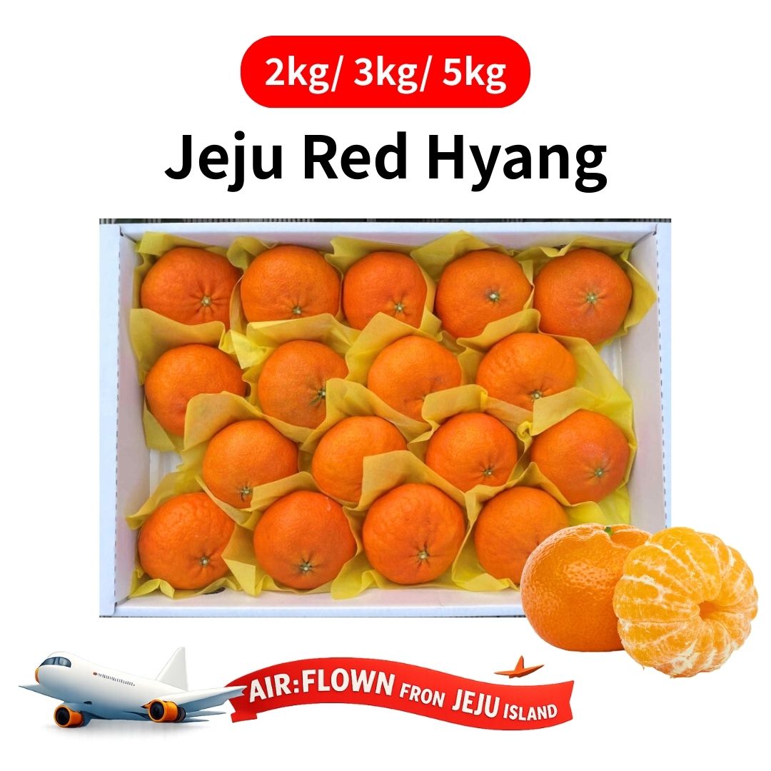 [New Year Gift Set] Korean Jeju Red Hyang Mandarin Orange Gift Box 2kg/3kg/5kg 설 선물세트 레드향