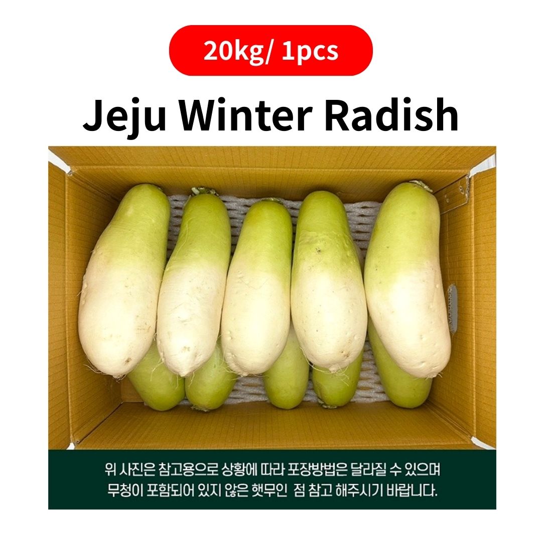 Jeju Washed Winter Radish 20kg 제주 세척 월동무 20kg
