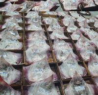[SUH] Frozen Fermented Skate Wing Slices 190g 수협 냉동 숙성 홍어회 날개 190g