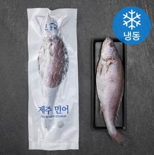 [New Year Gift Set] Frozen Jeju Brown Croaker 한올레  냉동 제주 민어 400gx10pack