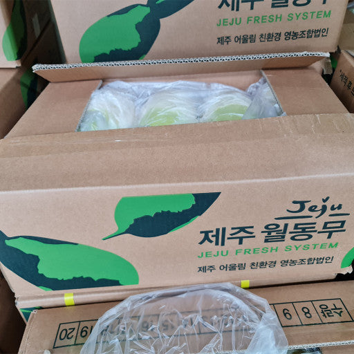 Jeju Washed Winter Radish 20kg 제주 세척 월동무 20kg