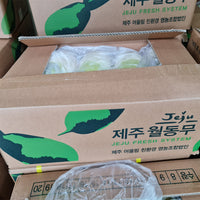 Jeju Washed Winter Radish 20kg 제주 세척 월동무 20kg