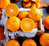 [New Year Gift Set]Red Hyang & Hallabong Mixed Gift Set 레드향&한라봉 혼합 선물세트 2kg/3kg/5kg