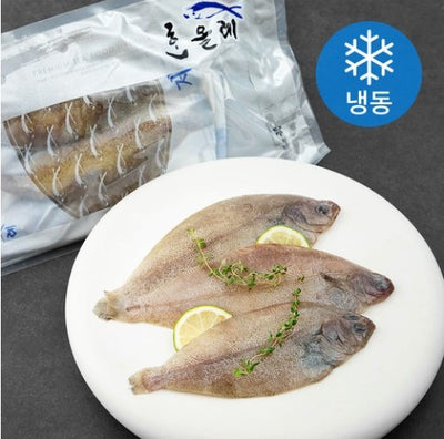 [Hanolle] Frozen Jeju Flatfish 400g / 한올레 냉동 제주 참가자미 400g(3마리)