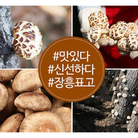 Dried Shiitake Mushroom (BlackHwago/Donggo)100g 숲이키운 장흥표고 (흑화고/동고) 100g