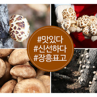 Dried Shiitake Mushroom (BlackHwago/Donggo)100g 숲이키운 장흥표고 (흑화고/동고) 100g