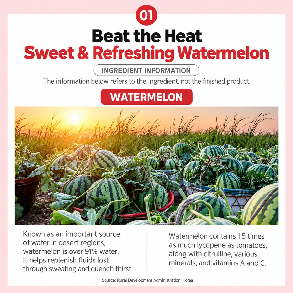 [Bundle][CHUNHO N CARE] Watermelon Smoothie 100ml / 천호엔케어 수박스무디 100ml
